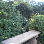 bench in meditation garden