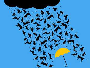 raining cats and dogs idioms